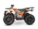 Quads / ATVs