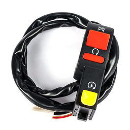 Electric Start + Kill Switch