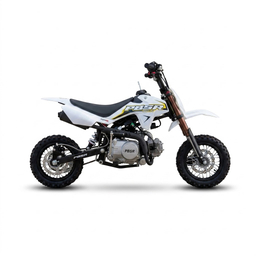 PBSR 70cc Electric Start