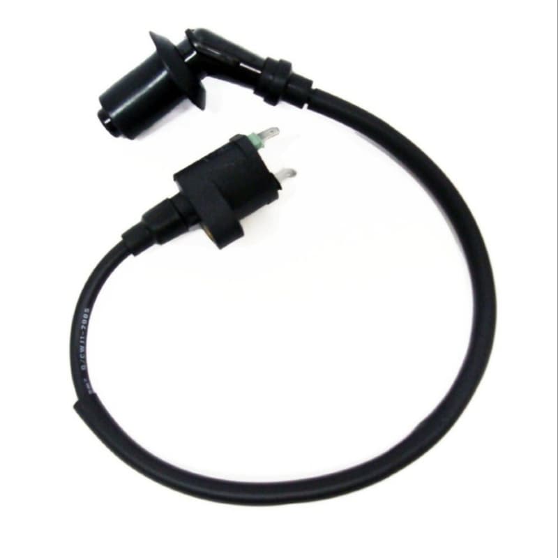 Coil (2 Prong)